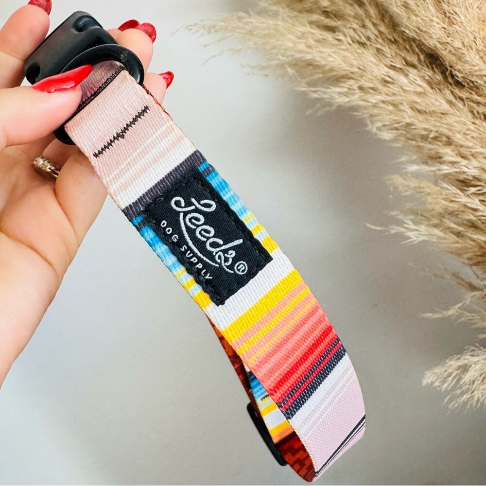 NEW LEEDS Califia Cream Orange Stripe Buckle Dog Collar Step In Harness $85 Set - Picture 6 of 13